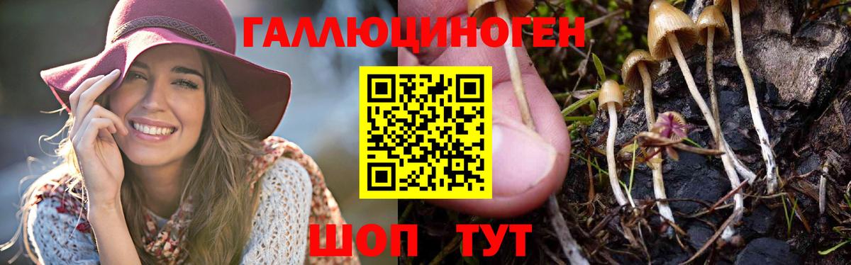 Татарск  Псилоцибиновые грибы GOLDEN TEACHER  Вход с VPN 